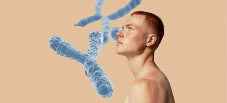 Scientists Warn Human Y Chromosome Could Slowly Disappear in the Future