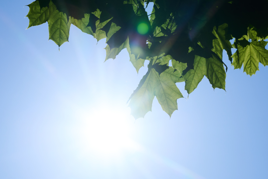 Heatwave Triggers Dangerous Ozone Levels.