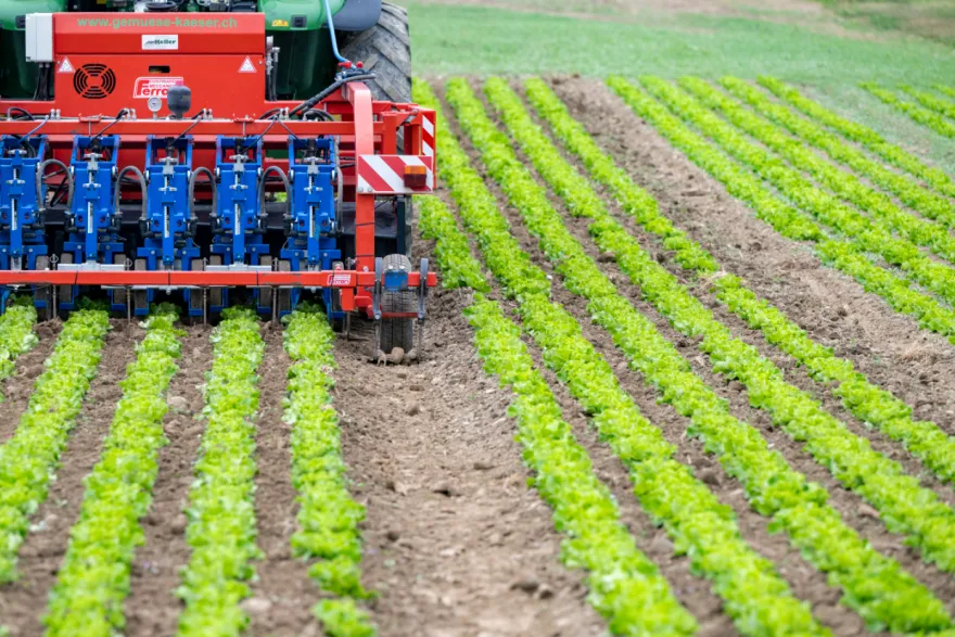 Swiss Farmers Gain Trade Support.