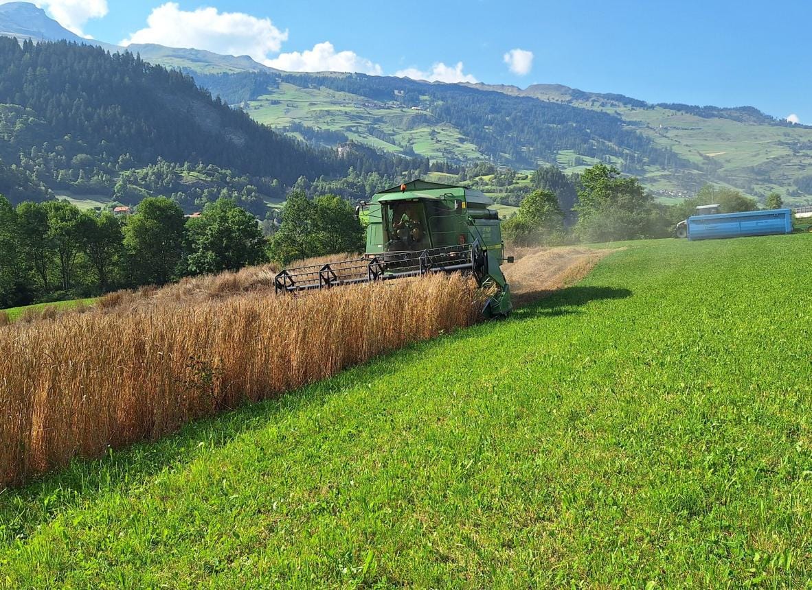 Swiss Government Rejects Food Security Initiative Ahead of Vote