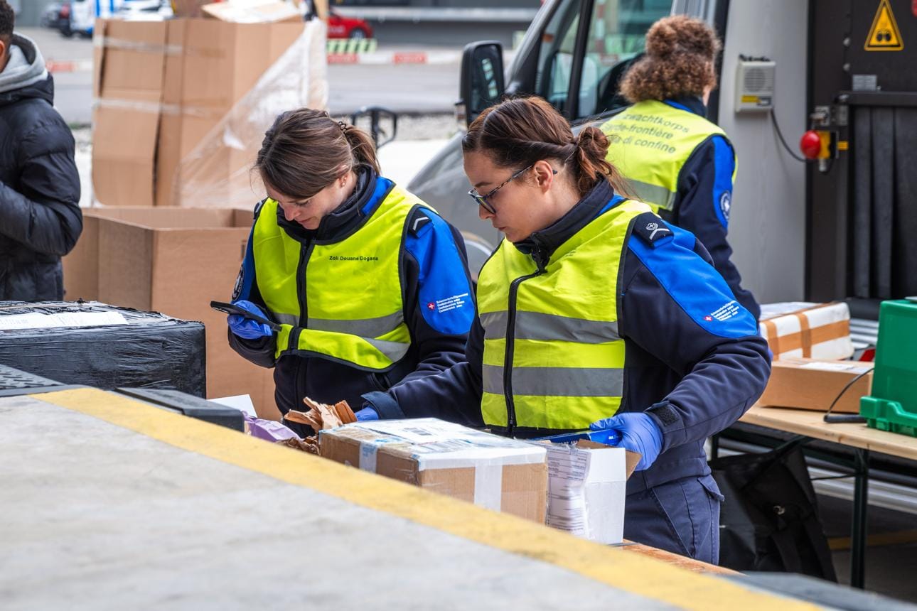 Swiss Parliament Moves Against Unsafe Temu Products