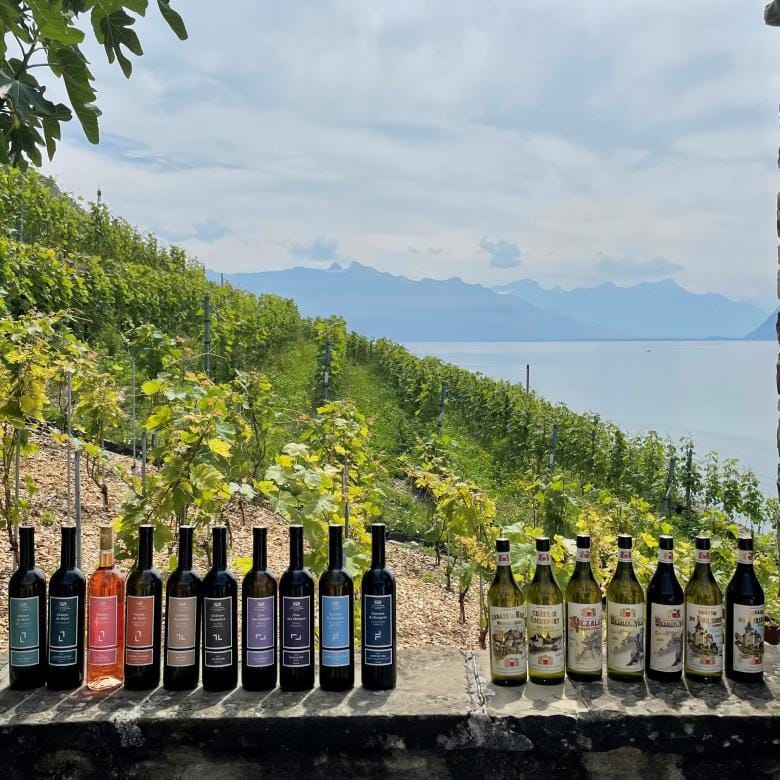 Swiss Wine Import Restrictions Face Strong Opposition